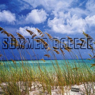 Summer Breeze