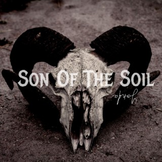 Son Of The Soil lyrics | Boomplay Music