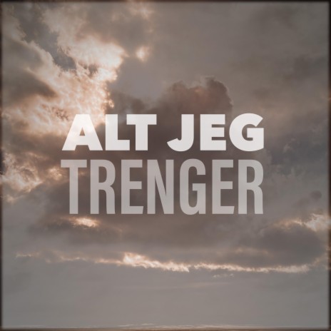 Alt jeg trenger | Boomplay Music