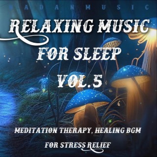 Relaxing Music for Sleep Vol.5