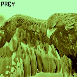 Prey (instrumental;Studio Mix)