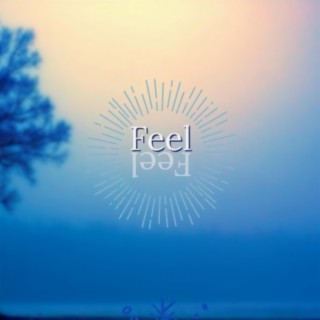 Feel