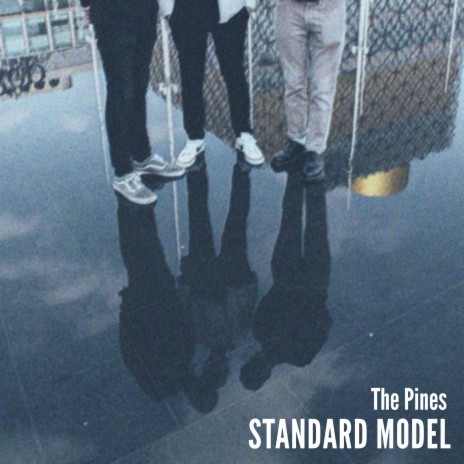 Standard Model | Boomplay Music