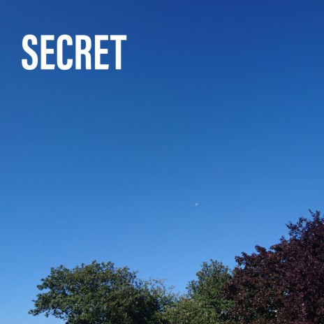 Secret | Boomplay Music