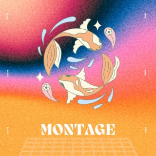 Montage