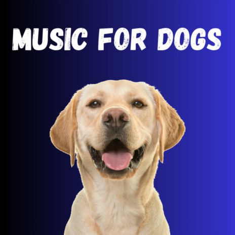 Relaxing Music For Dogs ft. Calm Pets Music Academy, Music For Dogs & Music For Dogs Peace | Boomplay Music