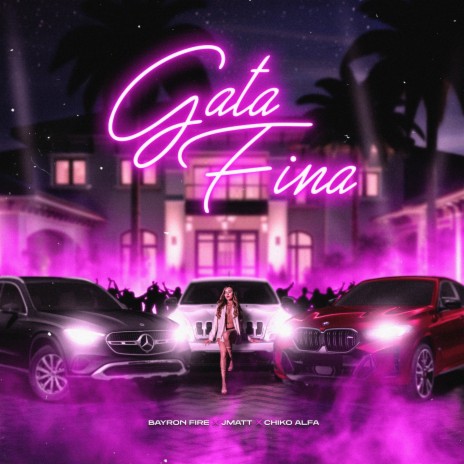 Gata Fina ft. Chiko Alfa & J Matt | Boomplay Music