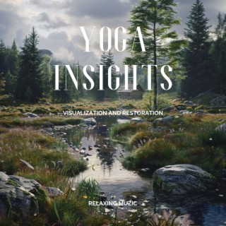 Yoga Insights: Visualization and Restoration