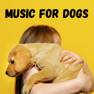 Music For Dogs