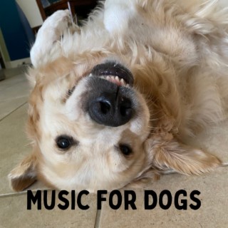 Music For Dogs