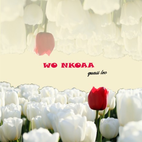 WO NKOAA | Boomplay Music