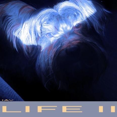 LIFE II | Boomplay Music