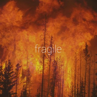 Fragile