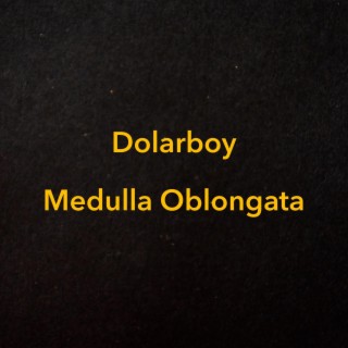 Medulla Oblongata