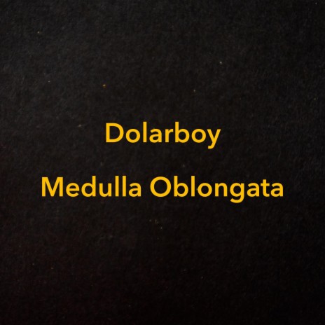Medulla Oblongata | Boomplay Music
