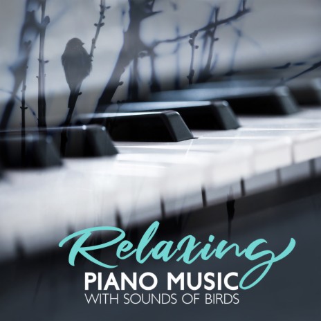 The Soothing Sound of Piano