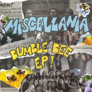 The Bumblebee EP