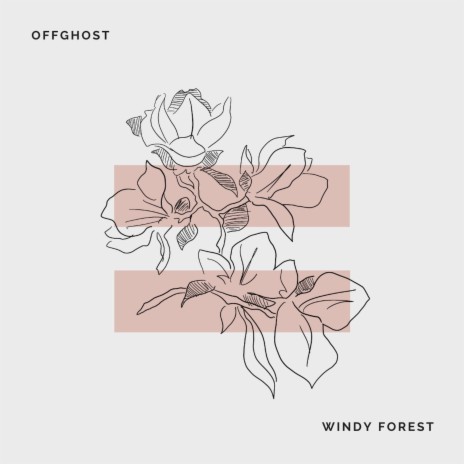 Windy Forest | Boomplay Music