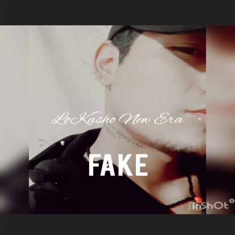 Fake | Boomplay Music