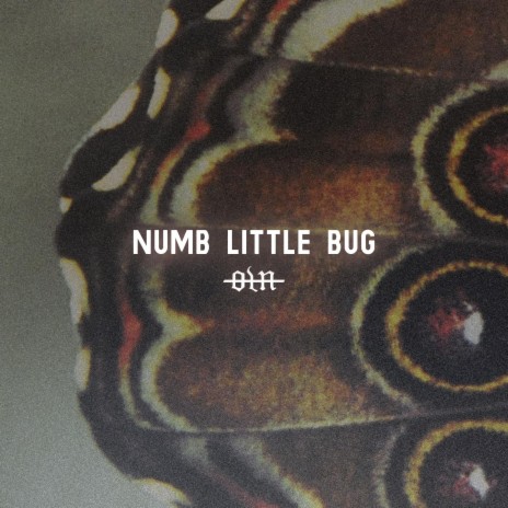 Numb Little Bug | Boomplay Music