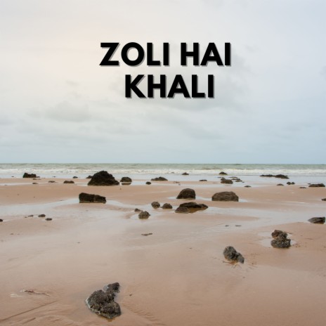 Zoli Hai Khali | Boomplay Music