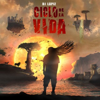 Ciclo de la vida