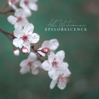 Efflorescence