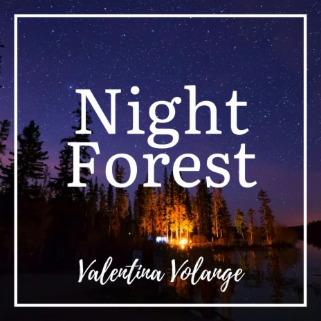 Night Forest | Boomplay Music