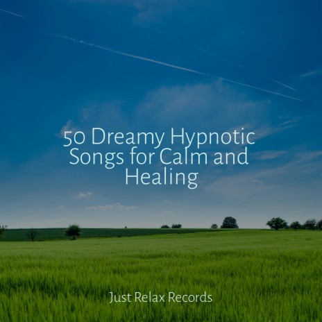 Dreaming in Sunshine Fields ft. Study Music & Sounds & MÚSICA PARA NIÑOS | Boomplay Music