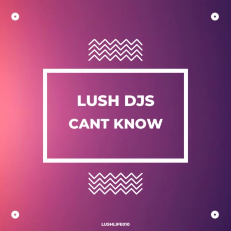 Cant Know (Original Mix)