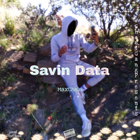 Savin Data | Boomplay Music