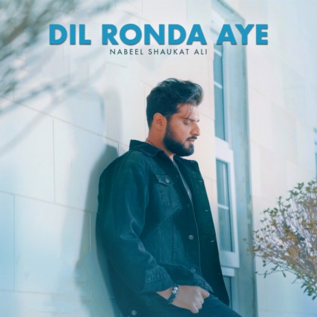 Dil Ronda Aye | Boomplay Music