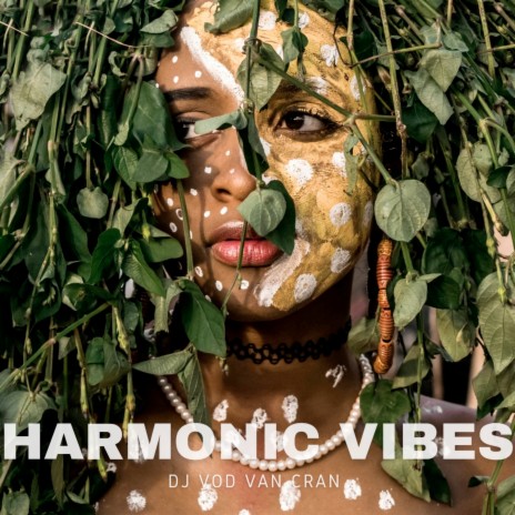 Harmonic Vibes | Boomplay Music