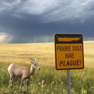 Prairie Dogs Have Plague! Volume 1