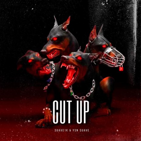 Cut Up ft. YSN $uave