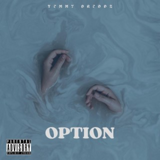 OPTION lyrics | Boomplay Music