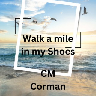 Walk a mile in my shoes lyrics | Boomplay Music