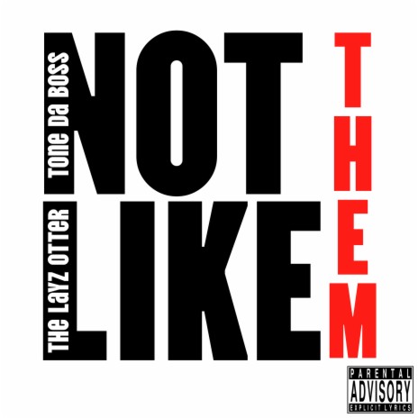 Not Like Them ft. The LayZ Otter | Boomplay Music