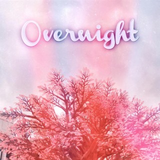 Overnight