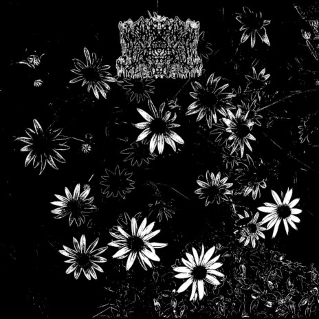 No Flowers for the Dead | Boomplay Music