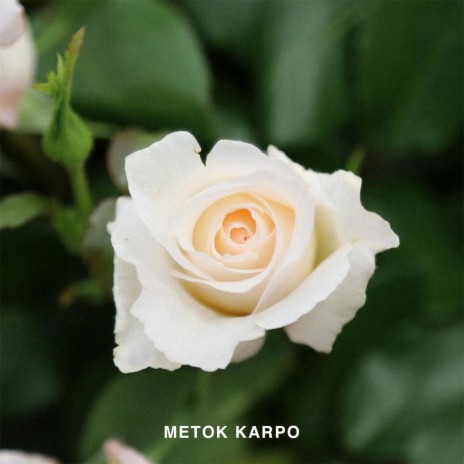 Metok Karpo ft. Kunga | Boomplay Music