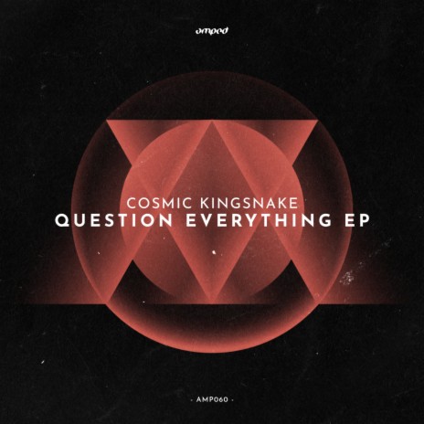 Question Everything (Original Mix)