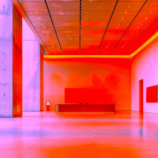 Gallery Meditation (NYC MoMA Version)