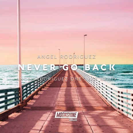 Never Go Back (Original Mix)