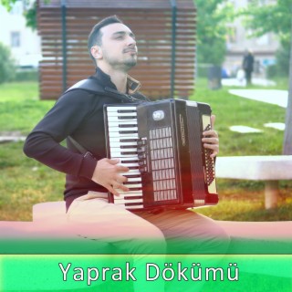 Yaprak Dökümü