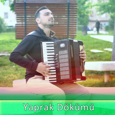 Yaprak Dökümü | Boomplay Music