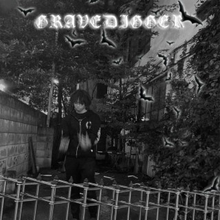 gravedigger lyrics | Boomplay Music