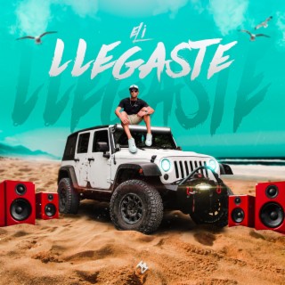 Llegaste lyrics | Boomplay Music