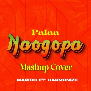 Marioo X Harmonize Naogopa Mashup