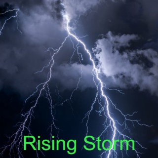 Rising Storm Podcast Ep 7 - Online Censorship